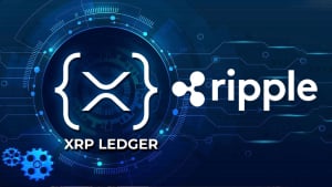 Ripple Makes Key Announcement for XRP Ledger Developers, Here's Why