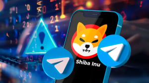 Shiba Inu Community on Telegram Must Pay Close Attention, Here's Why