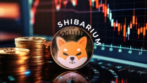 Shiba Inu's Shibarium Crashes 83.6%: What's Going On?