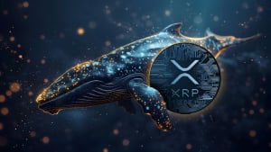 Mega XRP Whale Emerges After 99 Million Token Transfer