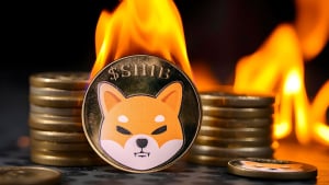 Shiba Inu Burn Rate Skyrockets 28,145% as SHIB Price Reacts Surprisingly