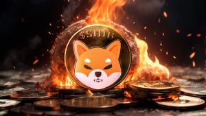 Shiba Inu Scorches 379 Million Tokens in July in Fresh Reset for Rally