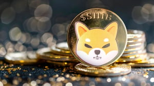 Shiba Inu Eyes Birthday Rally, If SHIB Price History Proves Itself