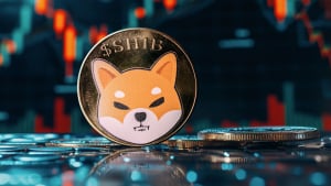 Shiba Inu (SHIB) Warning: Bulls Must Act to Prevent 20% Collapse