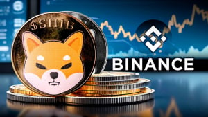 Binance mueve 137 mil millones de Shiba Inu (SHIB): detalles