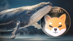 Mysterious whale’s stunning $6 million purchase of a Shiba Inu (SHIB) leaves people open-mouthed