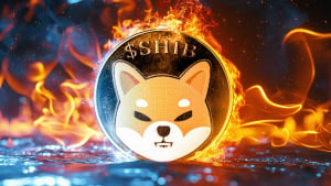 SHIB Burns Explode 1,088% as Price Breaks Out