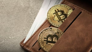 La billetera Bitcoin inactiva despierta con ganancias del 8,844%: Detalles