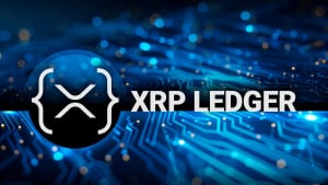 XRPL Testnet Successfully Reset for Improvements — What's Next?