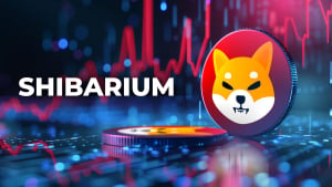 Epic 644.8% Anomaly Hits Shiba Inu's Shibarium