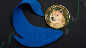 Dogecoin Rockets 1,476% With Whale Buys