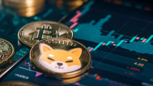 Shiba Inu Executive Makes Stunning Bitcoin Market Prediction