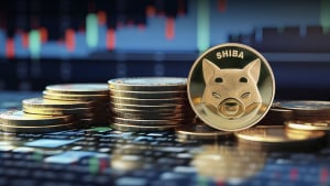 Se superó el umbral de 8 mil millones de dólares en Shiba Inu (SHIB): ¿qué sigue?