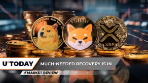 Dogecoin (DOGE) to Remove Zero, Shiba Inu (SHIB) Not Looking Healthy, XRP Catastrophe Avoided, Here's How 