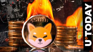 7.8 Million SHIB Sent to Dead Wallet as Burn Rate Shoots up 3,348%