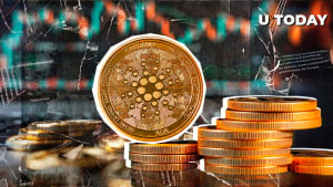 Cardano Bears Stun Bulls Amid Fight for Rebound