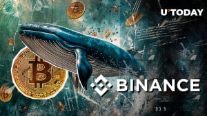 Binance whales push Bitcoin lower: details