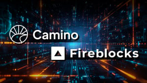 Camino Network L1 Teams up With Fireblocks for Maximum Token Accessibility