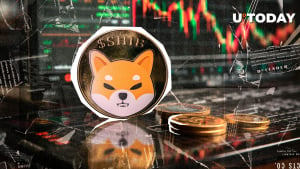 SHIB Among Worst-Performing Coins in Top 100, What's Happened?