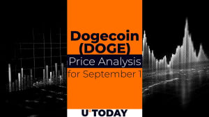 DOGE Prediction for September 1