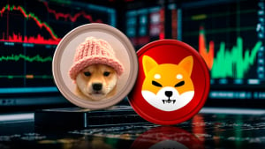 SHIB and WIF Among Worst-Performing Meme Coins