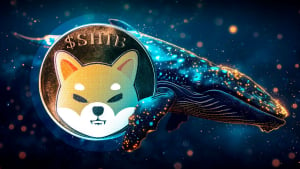 1.9 Billion Shiba Inu in 24 Hours: SHIB Whales Making Comeback