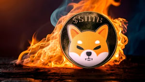 Shiba Inu (SHIB) Burn Rate Skyrockets 8,193%, Price Lifts Off