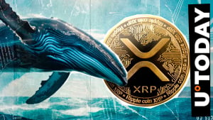 Crypto Whale Acquires 20 Million XRP From Top Korean Exchange