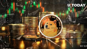 Dogecoin (DOGE) skyrockets 11% in just a few hours: What's driving the rise?