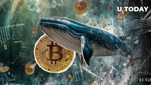 Ancient Bitcoin Wallet Suddenly Activated as BTC Recovers After Big Drop