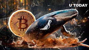 7,240% Bitcoin Gains Made by Dormant BTC Whale as 'Uptober' Kicks Off