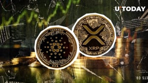 Cardano Rockets 300% in Fund Flows, XRP in Green Too