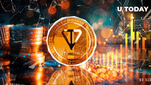 Toncoin (TON) Large Holder Activity Skyrockets 93%, What's Up?