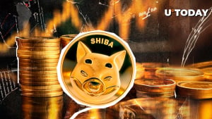 Shiba Inu (SHIB) Rockets 517% in Whale Activity Amid Partnership News