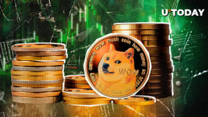 Dogecoin (DOGE) dispara $ 900 millones en una locura alcista de ballenas de 24 horas