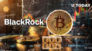 BlackRock Exec: 75% of Bitcoin ETF Investment Comes From Crypto Fans, Not Wall Street