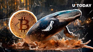 $429 Million in Bitcoin (BTC) Shifted by Whales — What's Next?