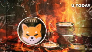 SHIB Soars 436% in Burn Rate As Shytoshi Kusama Makes Epic Statement