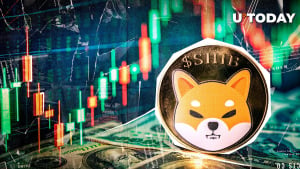 $500 Million in Shiba Inu (SHIB) in 24 Hours: Something Big Coming?