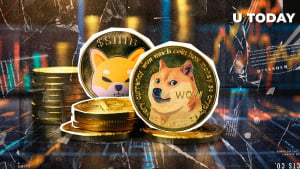 Dogecoin (DOGE) Skyrockets 27%: Will Shiba Inu (SHIB) Grow Even Bigger?