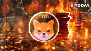 SHIB Torches 324 Million Tokens in One Week With 1,020% Burn Rate Surge