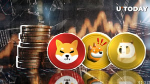 Shiba Inu, Dogecoin, Bonk and Others: Classic Meme Coins Get Massive Advantage