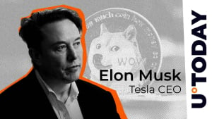 Elon Musk's DOGE Tweet Excites Crypto Community: Details