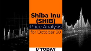 SHIB Price Prediction for October 30