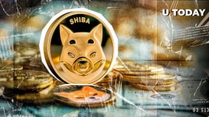 4.78 Trillion SHIB in 24 Hours: What’s Going On?