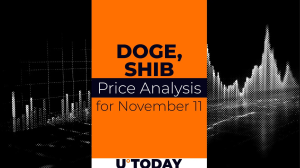 DOGE and SHIB Price Prediction for November 11