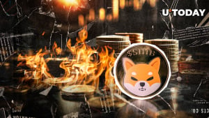 5.6 Billion Shiba Inu Torched in 24 Hours, What's Happening?