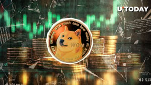 La actividad de las ballenas impulsa Dogecoin (DOGE) en un 957% en Key Bull Metric