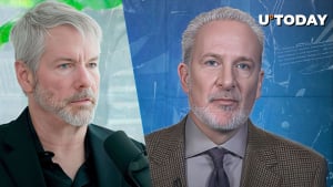 Peter Schiff Questions Michael Saylor's Bitcoin Digital Energy Claims