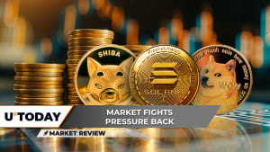 Shiba Inu (SHIB) Trading Hits Crisis Point, Solana (SOL) in Fragile Position, Dogecoin (DOGE) Fights Back